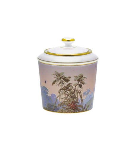 Haviland, Le Brésil, Sugar bowl