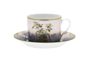 Haviland, Le Brésil, Tea cup and saucer