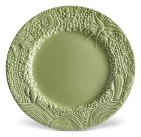 L'Objet, Haas Mojave Matcha, Presentation rim plate