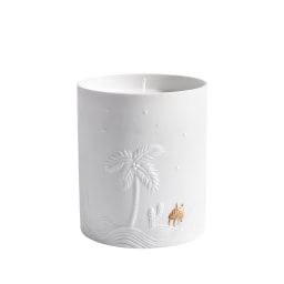 L'Objet, Haas Objects, Mojave palm candle
