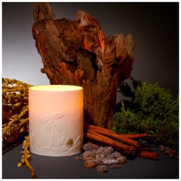 L'Objet, Haas Objects, Mojave palm candle