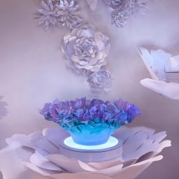 Daum, Sweet Garden, Medium bowl - photo 2