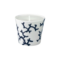 Raynaud, Cristobal marine, Candle pot