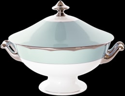 Haviland, Illusion Menthe, Soup tureen