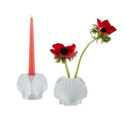 Ginori 1735, Il viaggio di Nettuno, 3 shells candle holder
