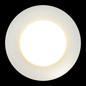 Haviland, Souffle d'or, Dinner plate