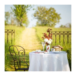 Bernardaud, Aux Oiseaux, Rice bowl