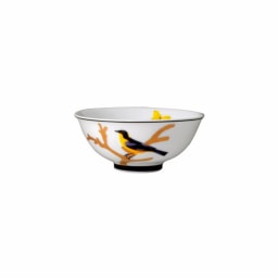 Bernardaud, Aux Oiseaux, Soup bowl