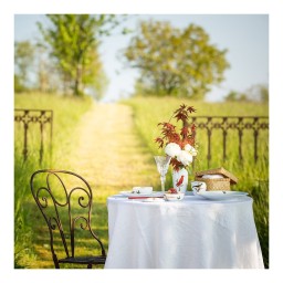 Bernardaud, Aux Oiseaux, Tea cup and saucer