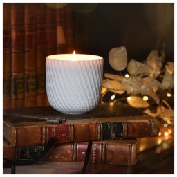 Bernardaud, Home Fragrance, Twist refill candle Archives