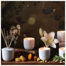 Bernardaud, Home Fragrance, Twist refill candle Archives