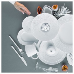 Bernardaud, Ecume White, Pacific coupe