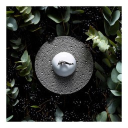 Bernardaud, Ecume Platinum, Tall candy dish