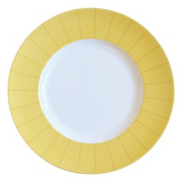 Bernardaud, Jardin Indien, Presentation plate