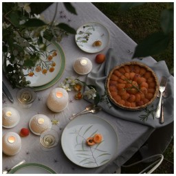 Bernardaud, Jardin Indien, Coupe bread and butter plate