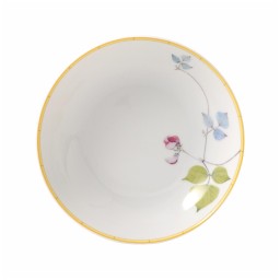 Bernardaud, Jardin Indien, Coupe soup