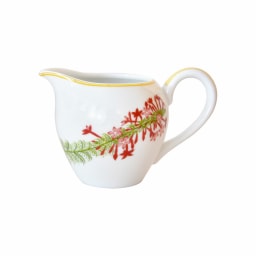 Bernardaud, Jardin Indien, Creamer