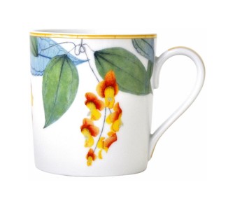 Bernardaud, Jardin Indien, Mug