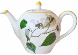 Bernardaud, Jardin Indien, Tea pot