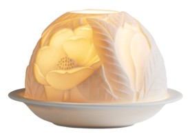 Bernardaud, Lithophanie, Magnolia blossoms