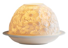 Bernardaud, Lithophanie, Daisies