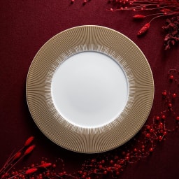 Bernardaud, Sol, Dinner plate - photo 2