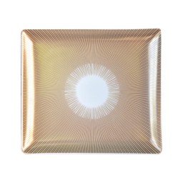 Bernardaud, Sol, Rectangular tray