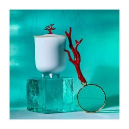 L'Objet, Coral, Candle