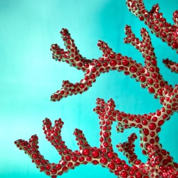 L'Objet, Coral, Centerpiece - photo 3