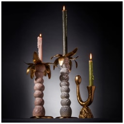 L'Objet, Haas Objects, Mojave palm candlestick