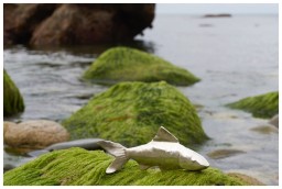 Hering Berlin, Ocean, Hering