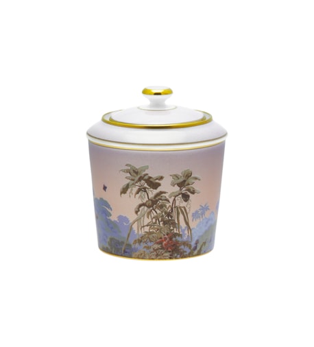 Haviland, Le Brésil, Sugar bowl