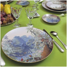 Haviland, Le Brésil, Presentation plate