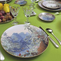 Haviland, Le Brésil, Oblong cake platter