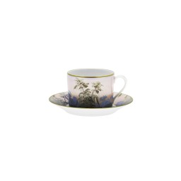 Haviland, Le Brésil, Tea cup and saucer