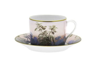 Haviland, Le Brésil, Tea cup and saucer