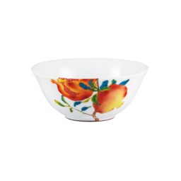 Raynaud, Harmonia, Chinese rice bowl