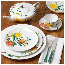 Raynaud, Harmonia, Coupe plate deep, small