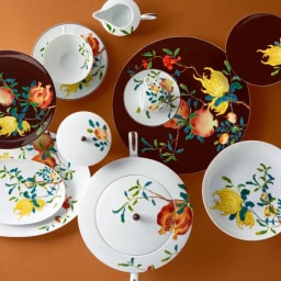 Raynaud, Harmonia, Dinner plate