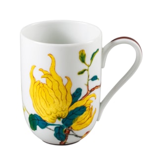 Raynaud, Harmonia, Mug