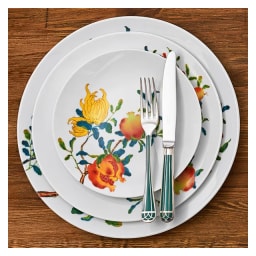 Raynaud, Harmonia, Salad bowl