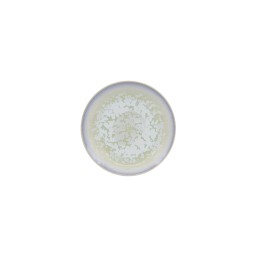 Jaune de Chrome, Song Amande, Bread & butter plate
