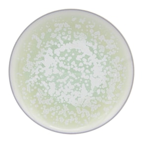 Jaune de Chrome, Song Amande, Dinner plate