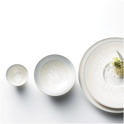 Jaune de Chrome, Song perle, Presentation plate