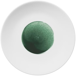 Hering Berlin, Emerald, Coupe plate large