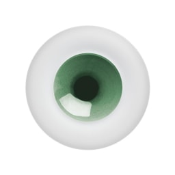 Hering Berlin, Emerald, Deep plate