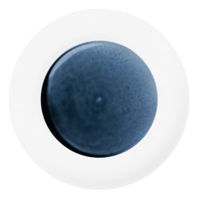 Hering Berlin, Blue Silent, Presentation plate