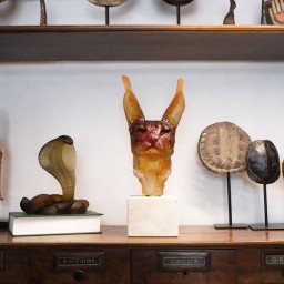 Daum, Univers Animaliers, Caracal Head by Isabelle Carabantes, 75 ex