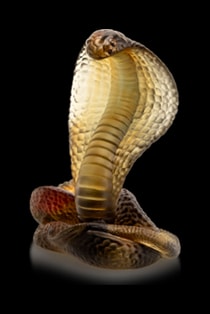 Daum, Univers Animaliers, Naja, 500 ex