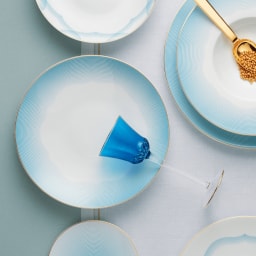 Raynaud, Aura, Dinner plate